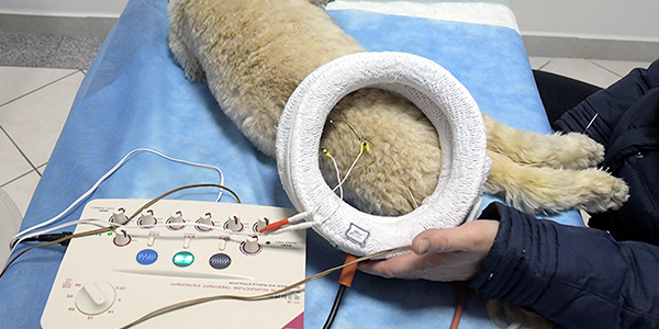 elektrostimulacijska terapija